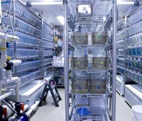 動物實(shí)驗(yàn)室檢測